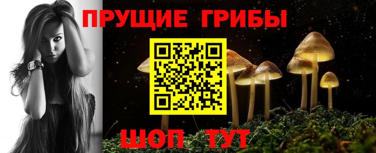 Галлюциногенные грибы GOLDEN TEACHER Саранск